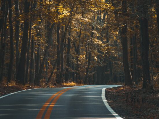 I took the photo mainly because I couldn’t believe how smooth the road was. The roads around the area I used to live in were just terrible so I pulled over to the side of the road and tried to time it so no cars got in the frame. It’s a pretty busy road so that was more challenging than you would think.
I think it’s cool how a photo of something as simple as a road can interest people. I’ve been guilty of thinking that there is nothing around me to photograph many times, so I’m trying to improve as a photographer and try to see ordinary things as extraordinary.